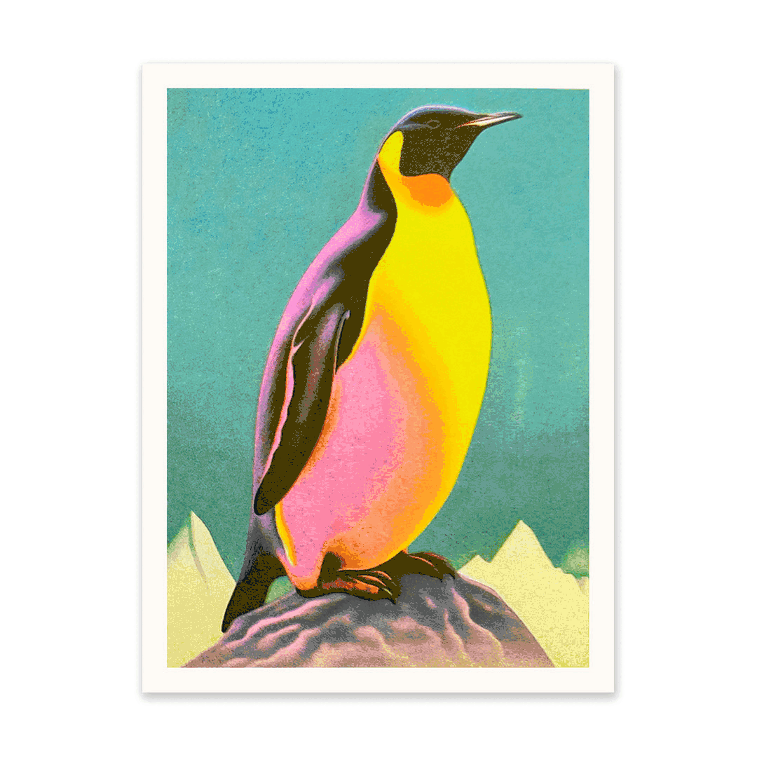 Pack of 5 Mystery Riso Prints