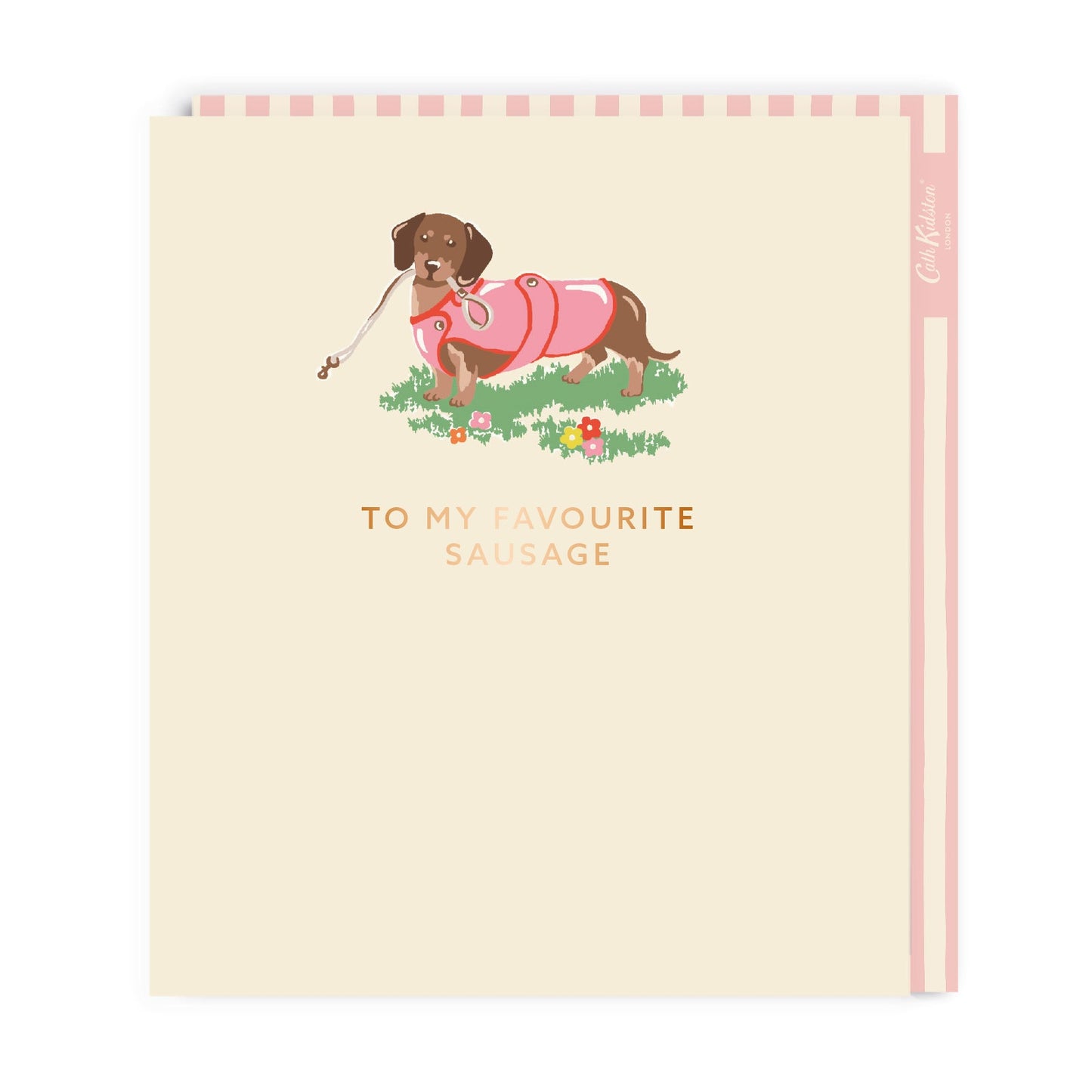 To My Favourite Sausage Large Greeting Card