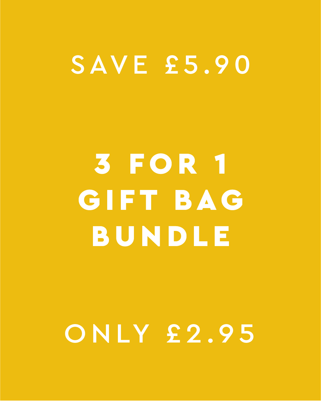 Mystery Gift Bag Bundle