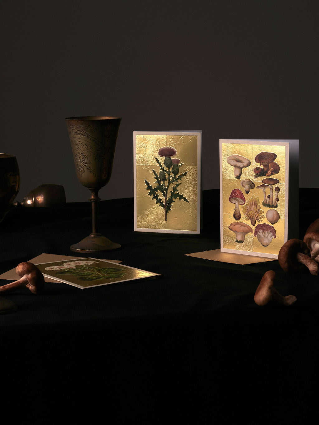 Cacti Greeting Card