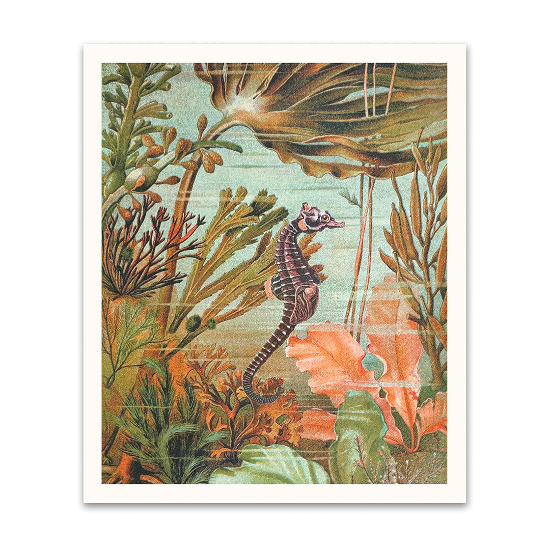 Seahorse Riso Print (12x10)