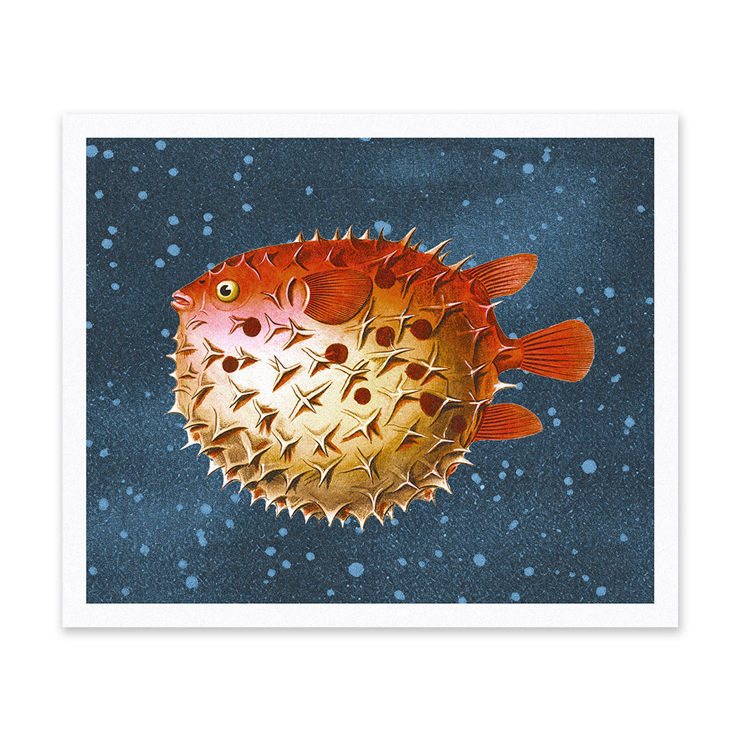 Puffer Fish Riso Print (12x10)