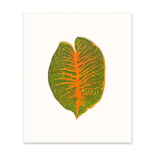 Tropical Leaf 1 Art Print