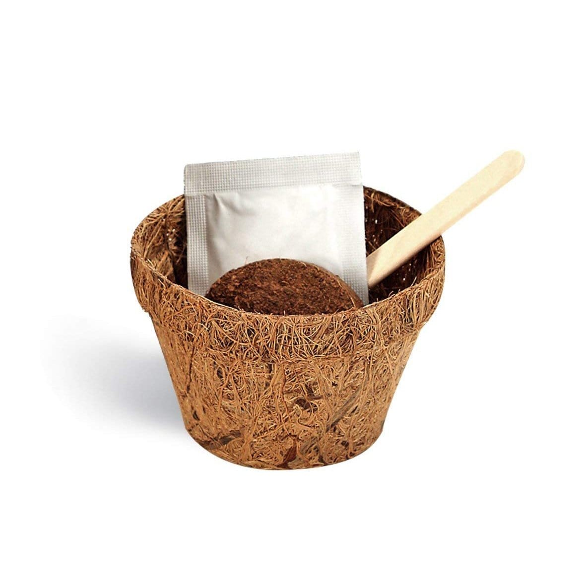 Birth Flower - December