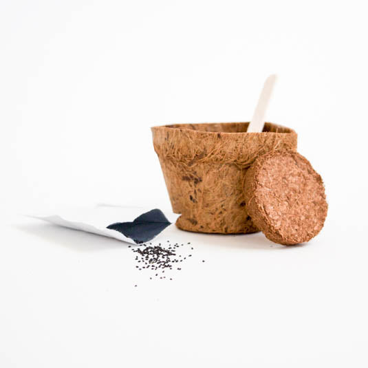 Happy Birthday - Grow Me