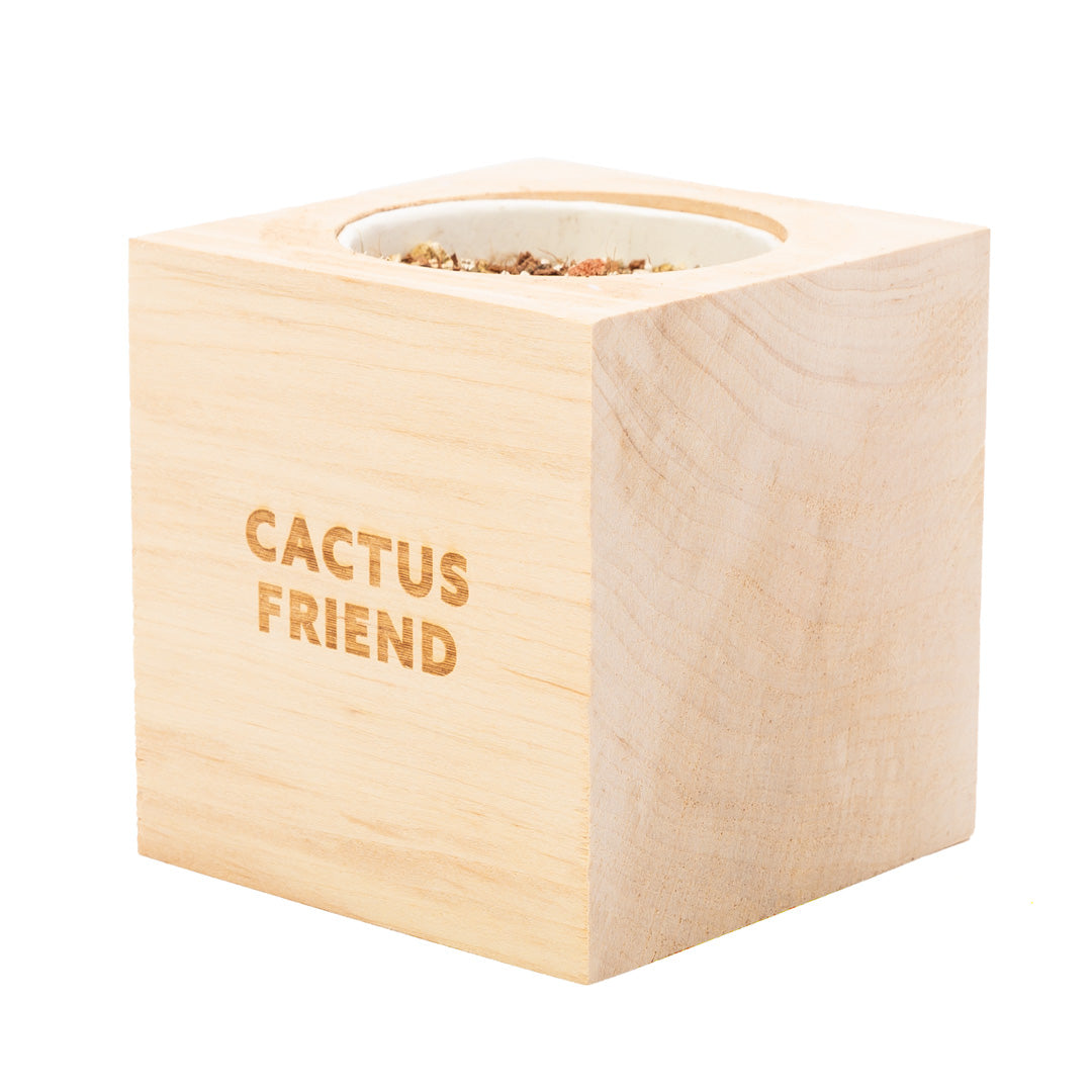 Grow Your Own Cactus Friend
