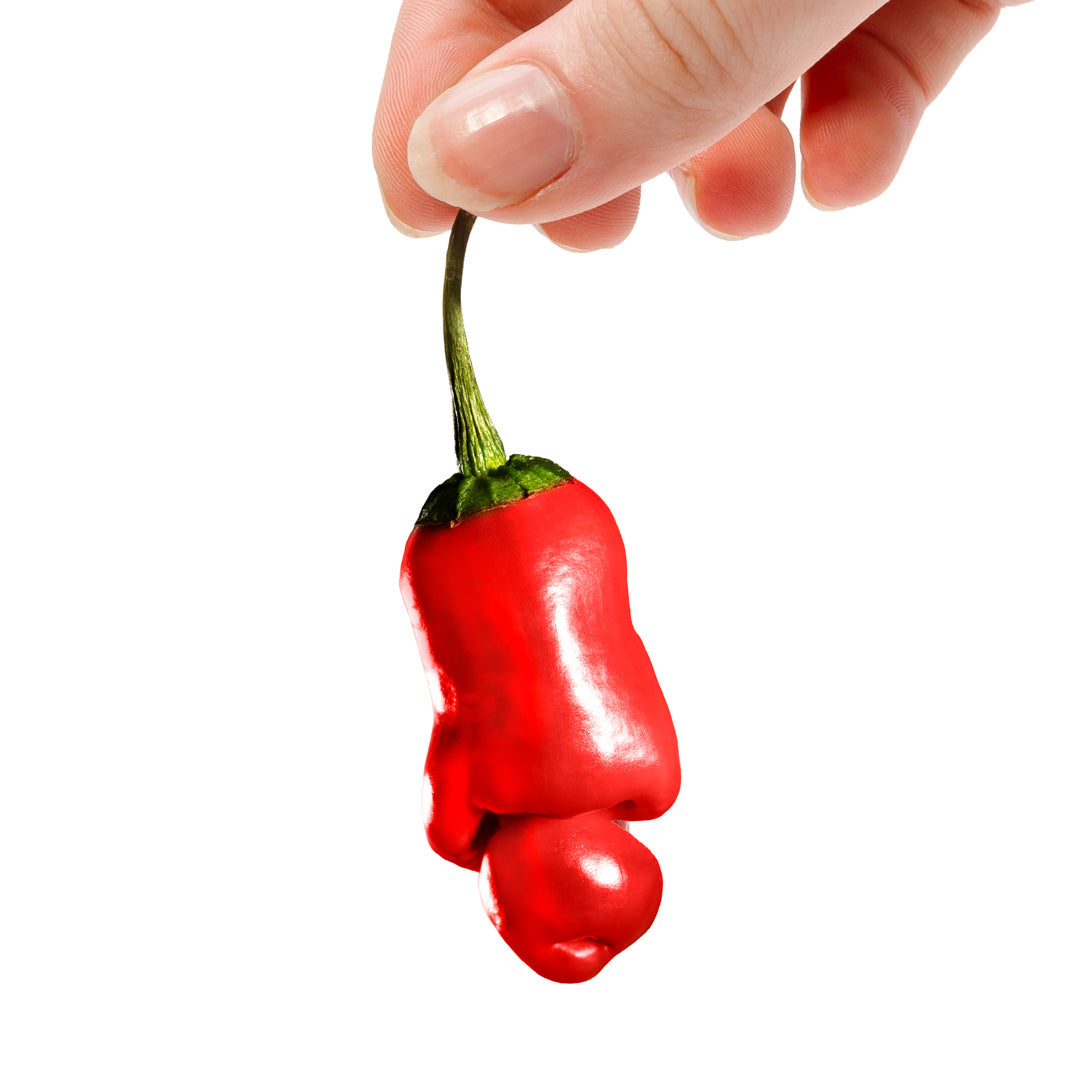 Grow Your Own Red Hot Willy Peppers