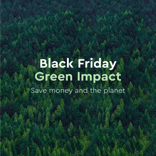 Black Friday, Green Impact: Saving Money While Saving the Planet