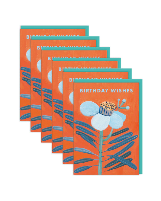 ANMGC9511 6 Pack Image