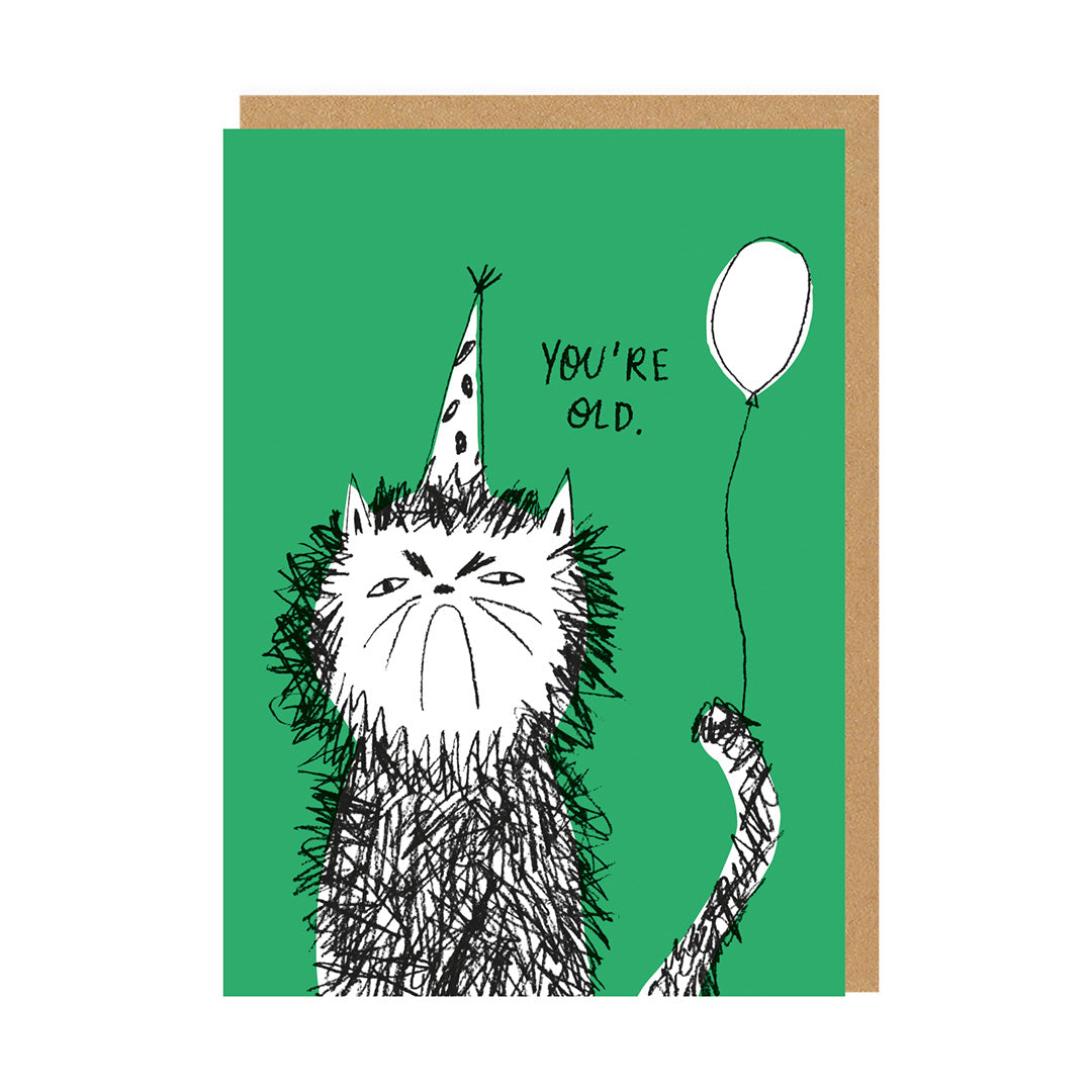 You're Old Cat Birthday Card