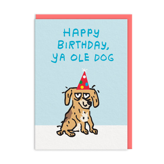 Happy Birthday Ya Ole Dog Greeting Card