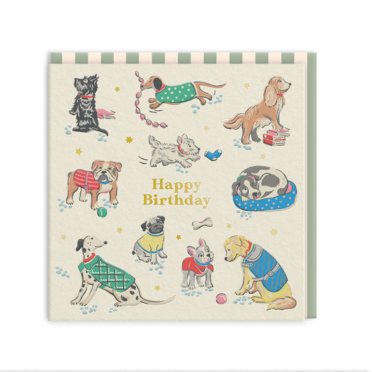 Dogs Mini Square Greeting Card