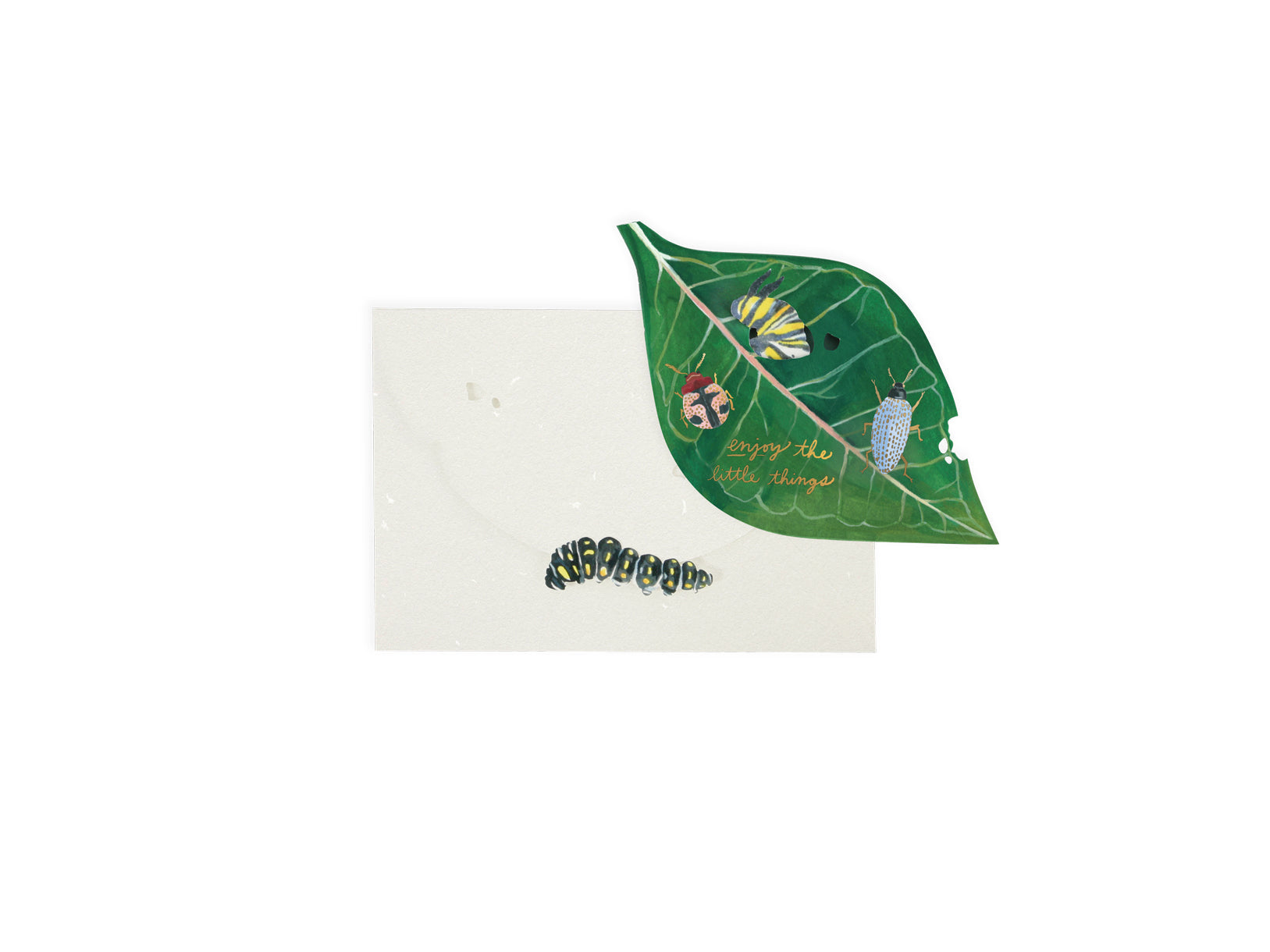 Caterpillar 3D Pop Up Greeting Card