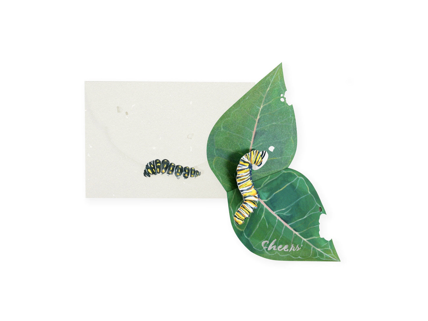 Caterpillar 3D Layered Greeting Card