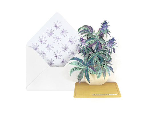 Herb Bouquet 3D Pop Up Greeting Card