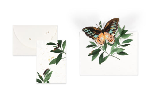 Butterfly Dear Alchemy: Petite Die-Cut Greeting Card