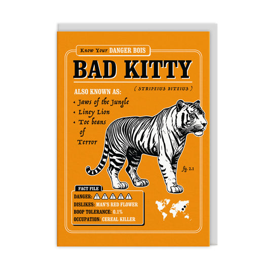 Bad Kitty Greeting Card