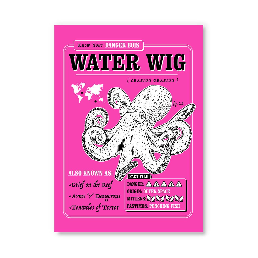 Danger Bois Water Wig Postcard