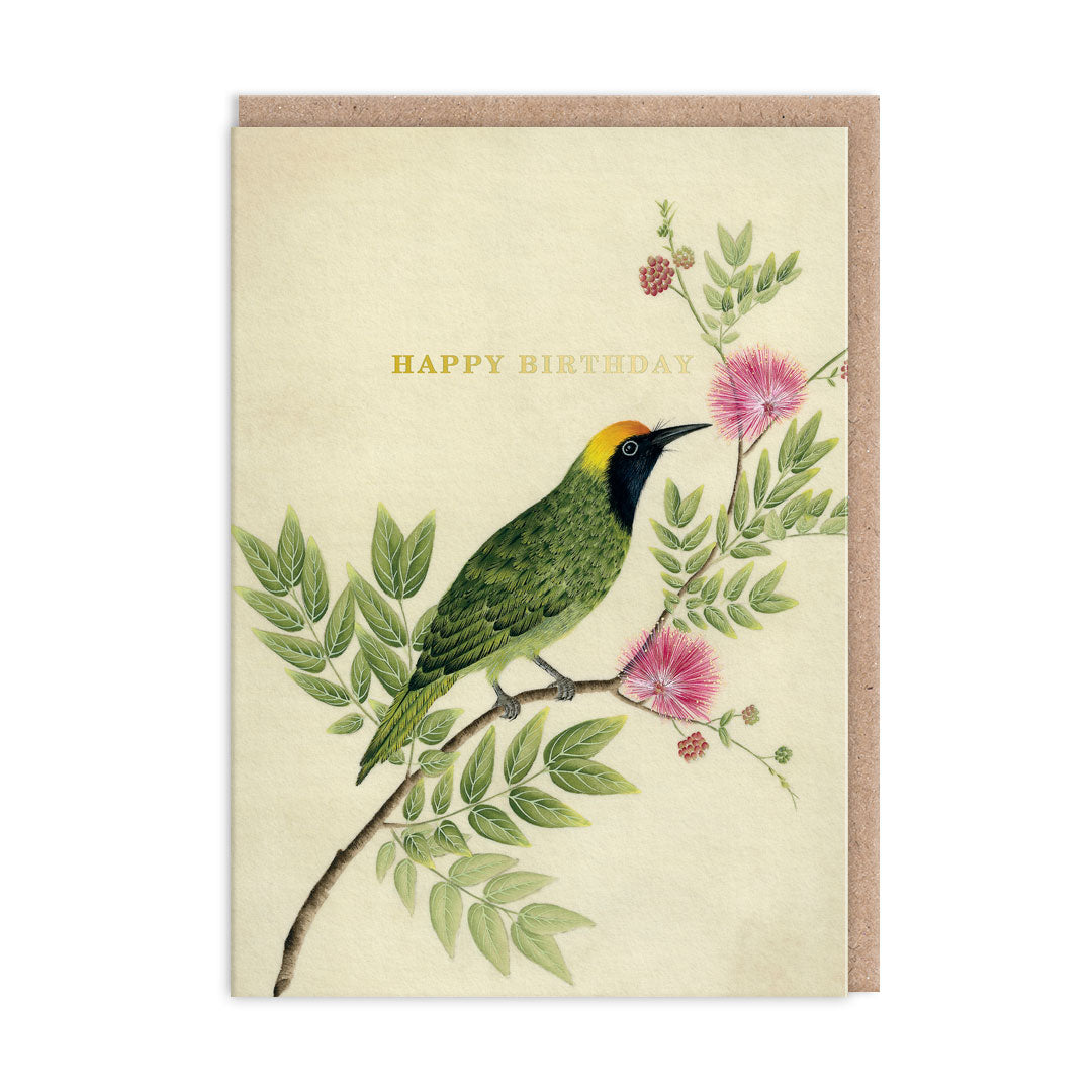 Diane Hill - Songbird Birthday Card 🕊️ | Ohh Deer