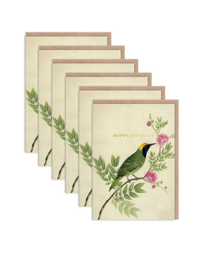 DIHGC9906 6 Pack Image