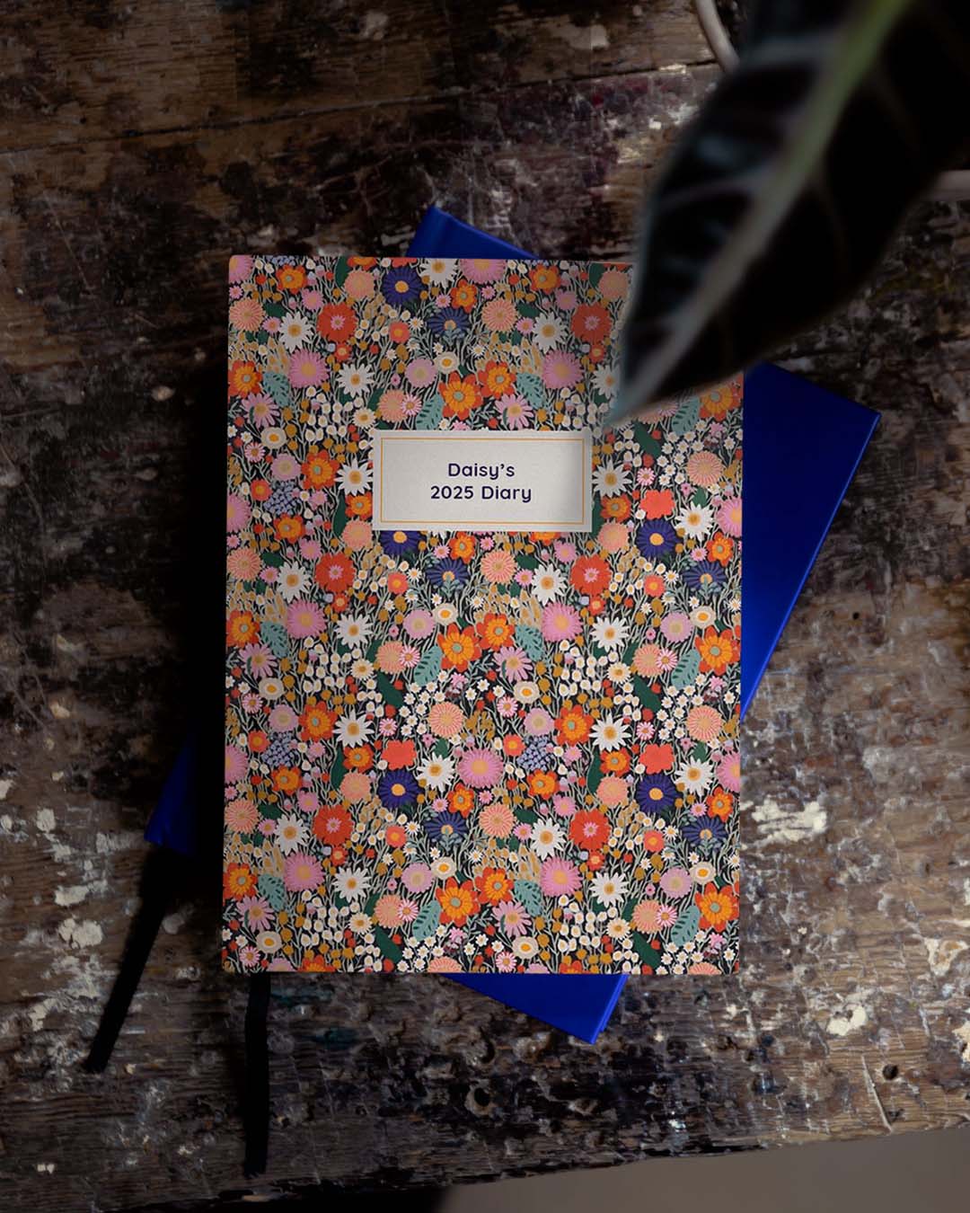 Daisy Field 2025 Diary