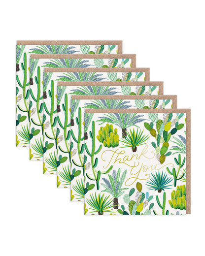 JCL-GC-001-SQ 6 Pack Image