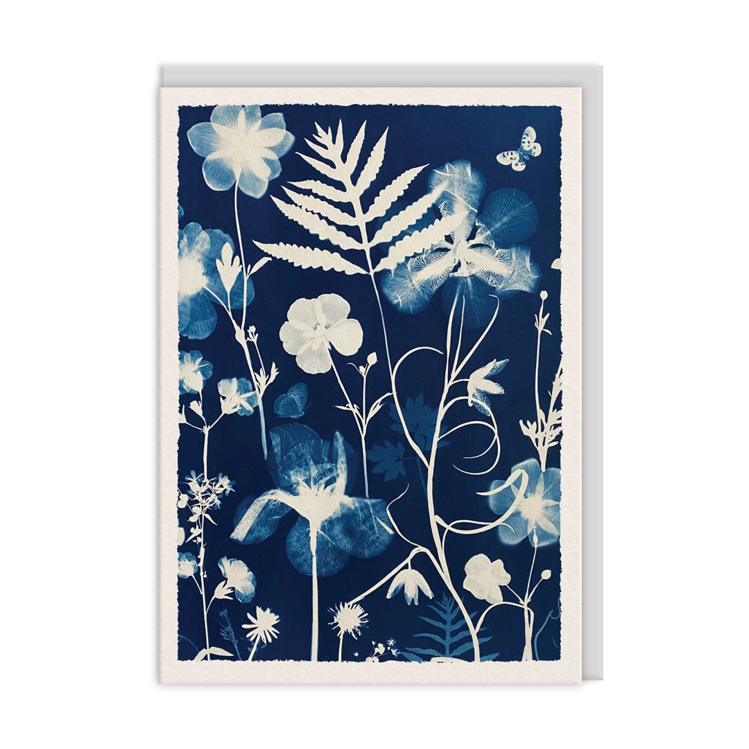 Poppies and Anenomes Greeting Card