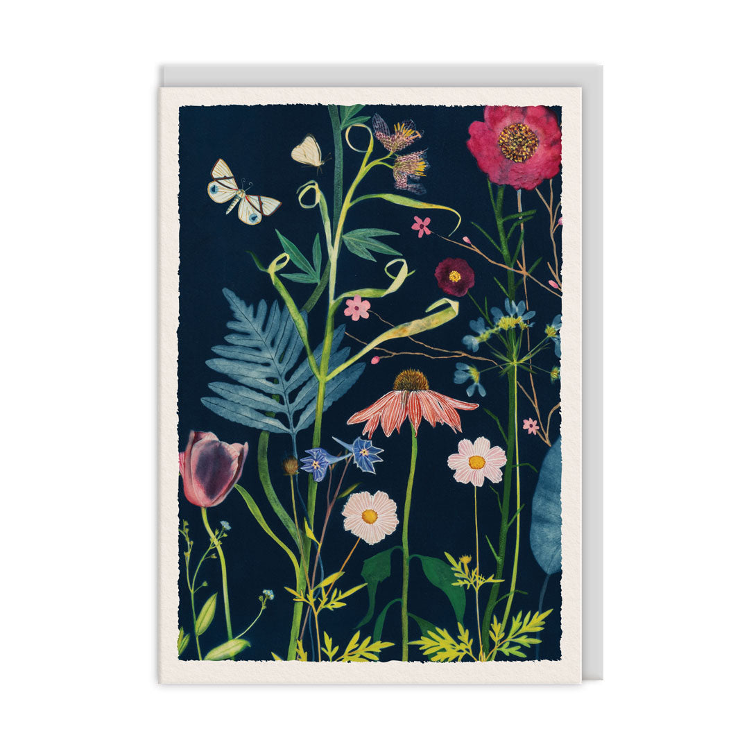 Fern and Echinacea Greeting Card