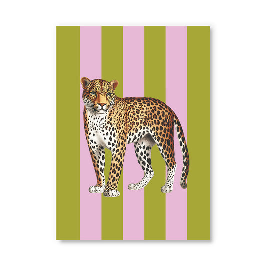 Striped Leopard Postcard