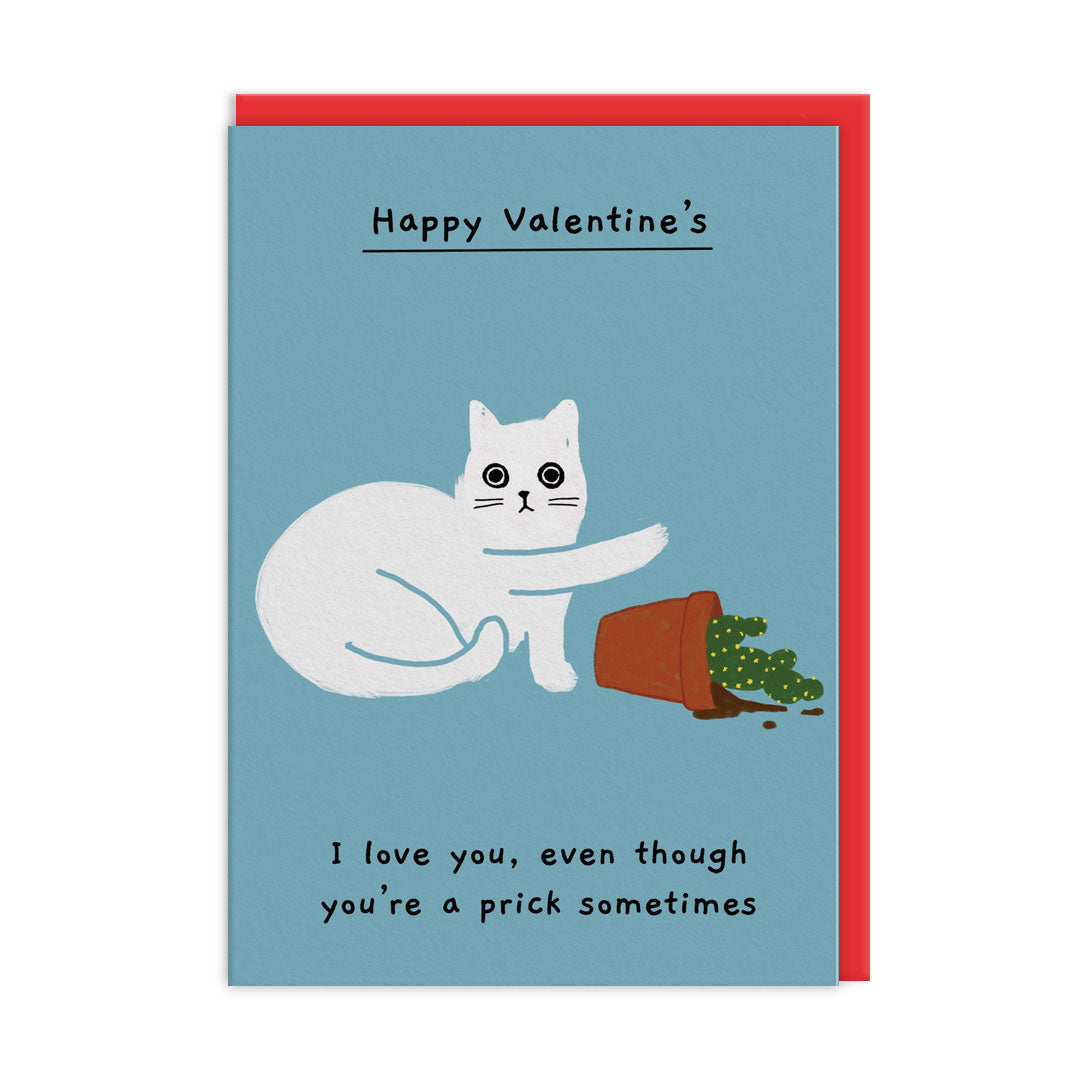 I Love You Even Though Youre Prick Sometimes Valentines Card