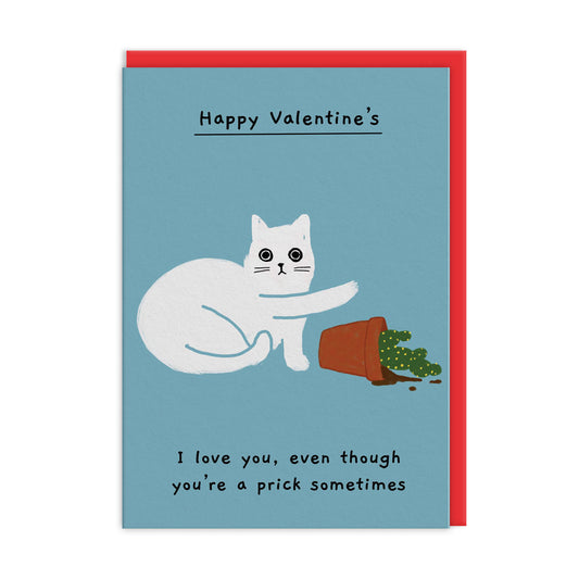 I Love You Even Though You're A Prick Sometimes Valentine's Card