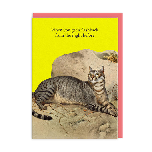 Flashbacks Greeting Card
