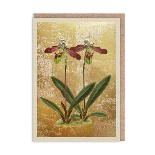 Cypripedium Meirax Greeting Card