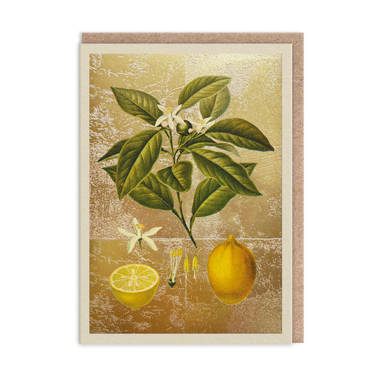 Lemons Greeting Card