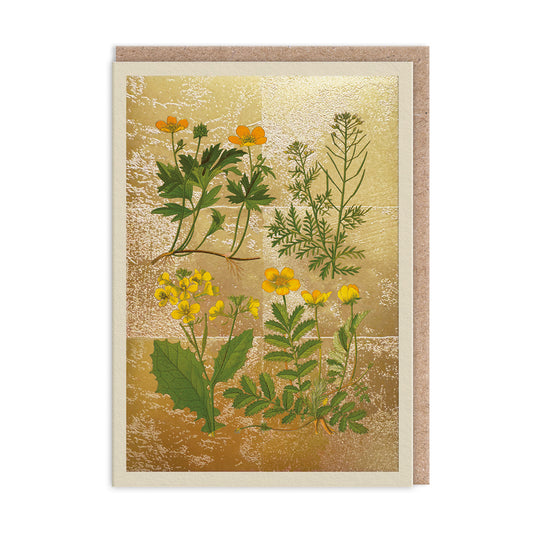 Wild Marsh Flower Collection Greeting Card