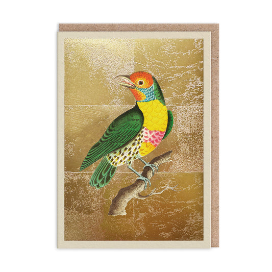 Lemon-Throated Barbet Greeting Card