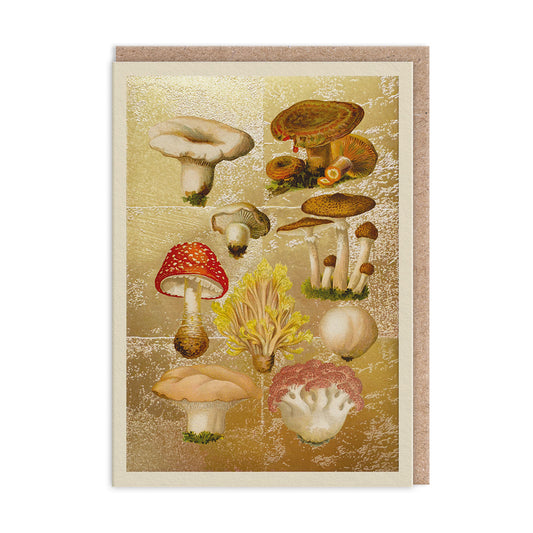 Fungi Collection Greeting Card