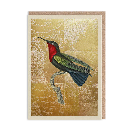 Garnet-Throated Hummingbird Greeting Card