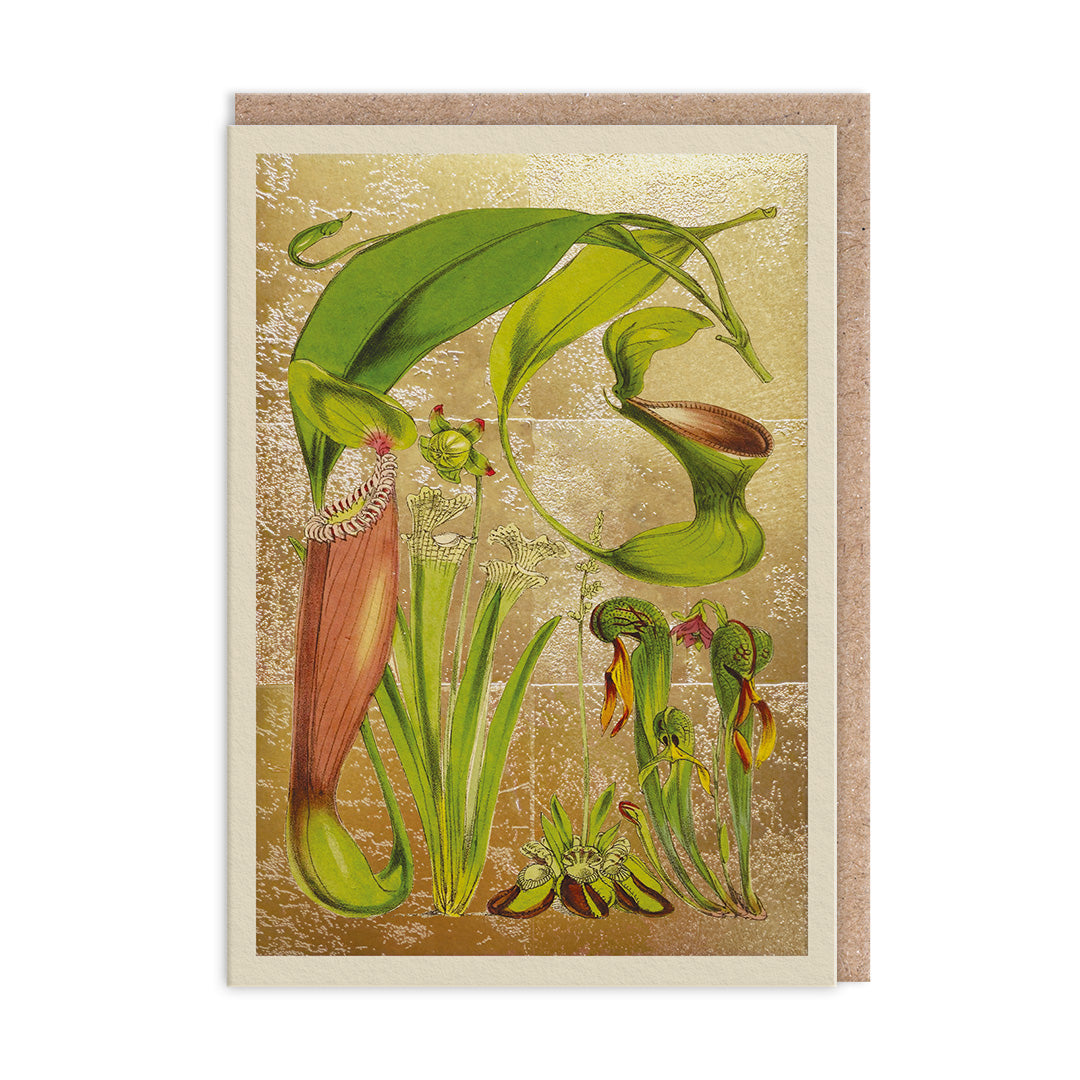 Pitcher Plants Greeting Card