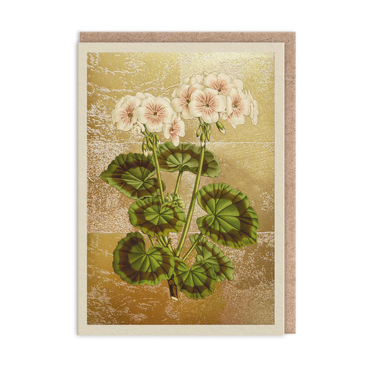 Geranium Greeting Card