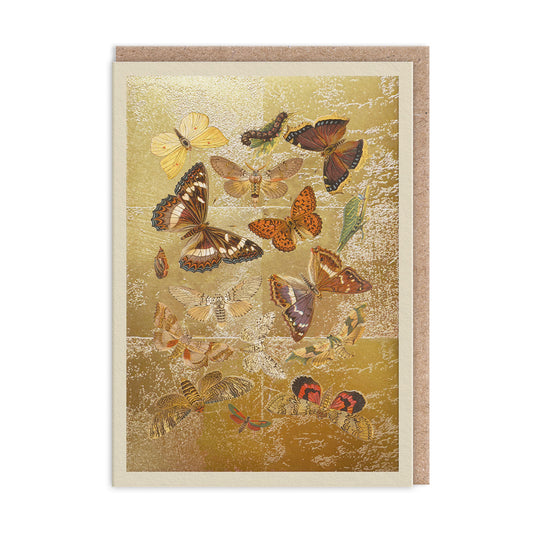 Lepidoptera Greeting Card