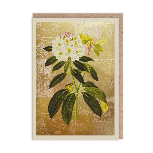 Rhododendron Greeting Card