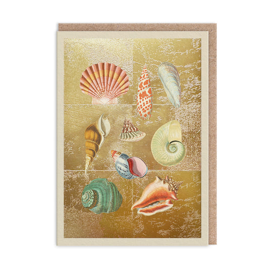 Shell Collection Greeting Card