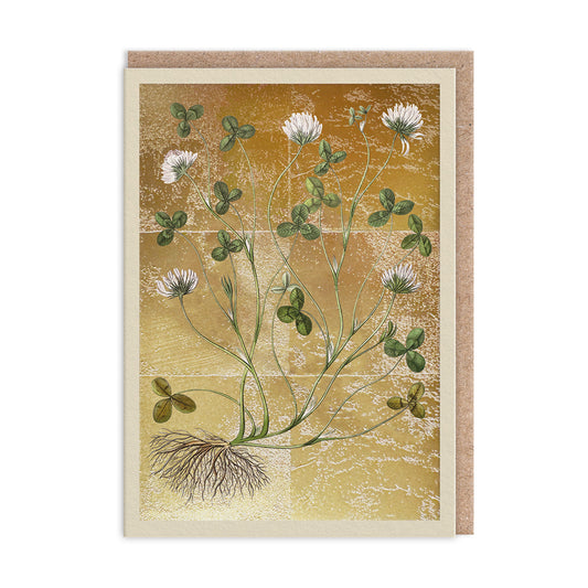 Clover Greeting Card