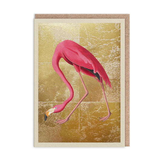 Flamingo Greeting Card