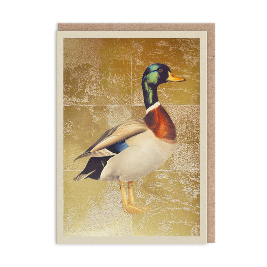 Mallard Greeting Card