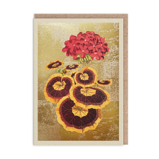 Pelargonium Greeting Card