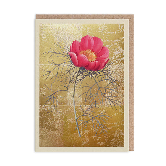 Peony Greeting Card