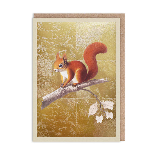 Red Squirrel Greeting Card