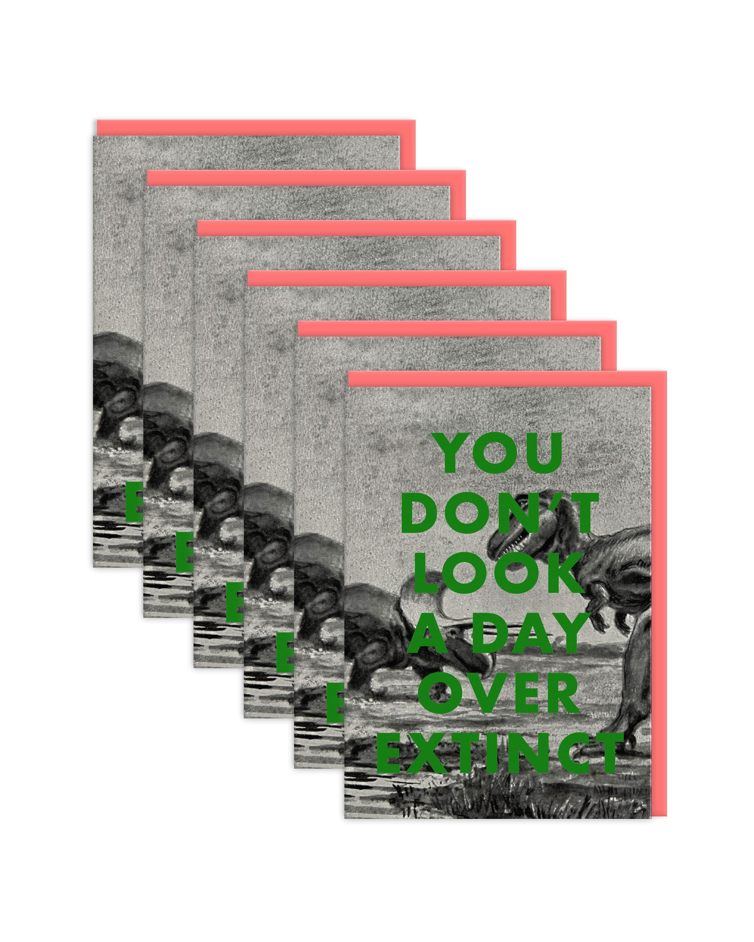 ODGC7319 6 Pack Image